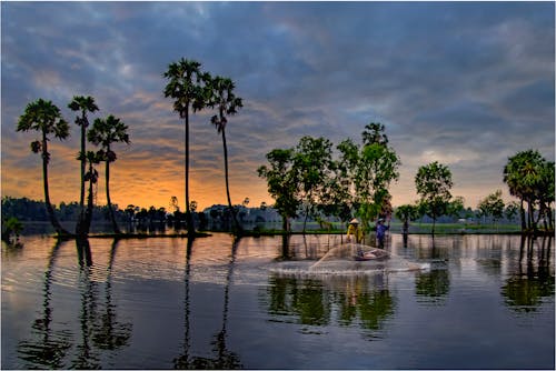 경치, 물, 베트남의 무료 스톡 사진