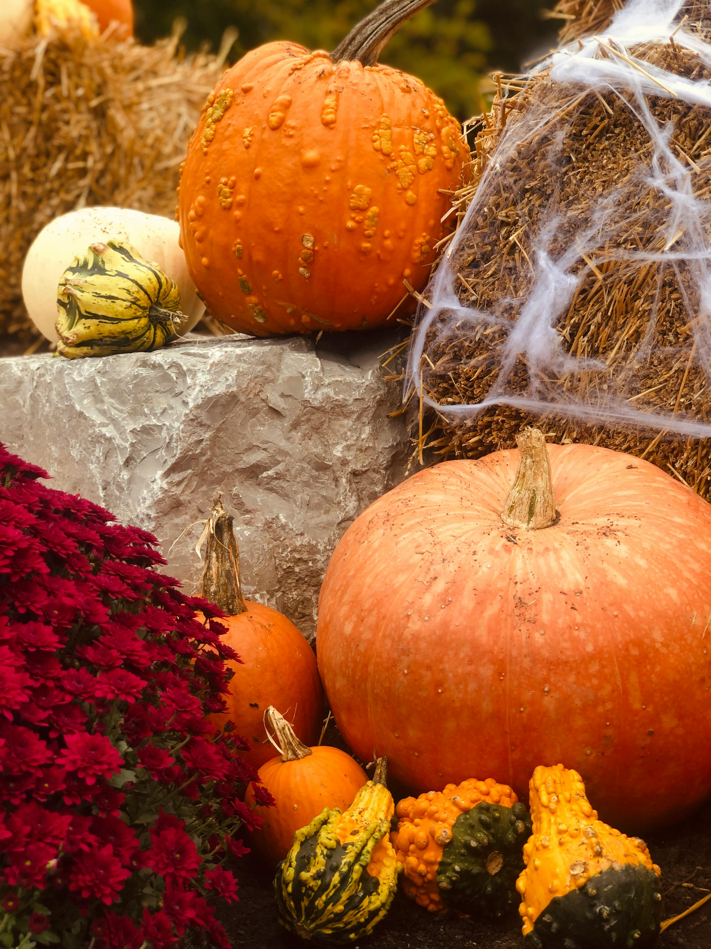 Which fruit is best for diabetes?