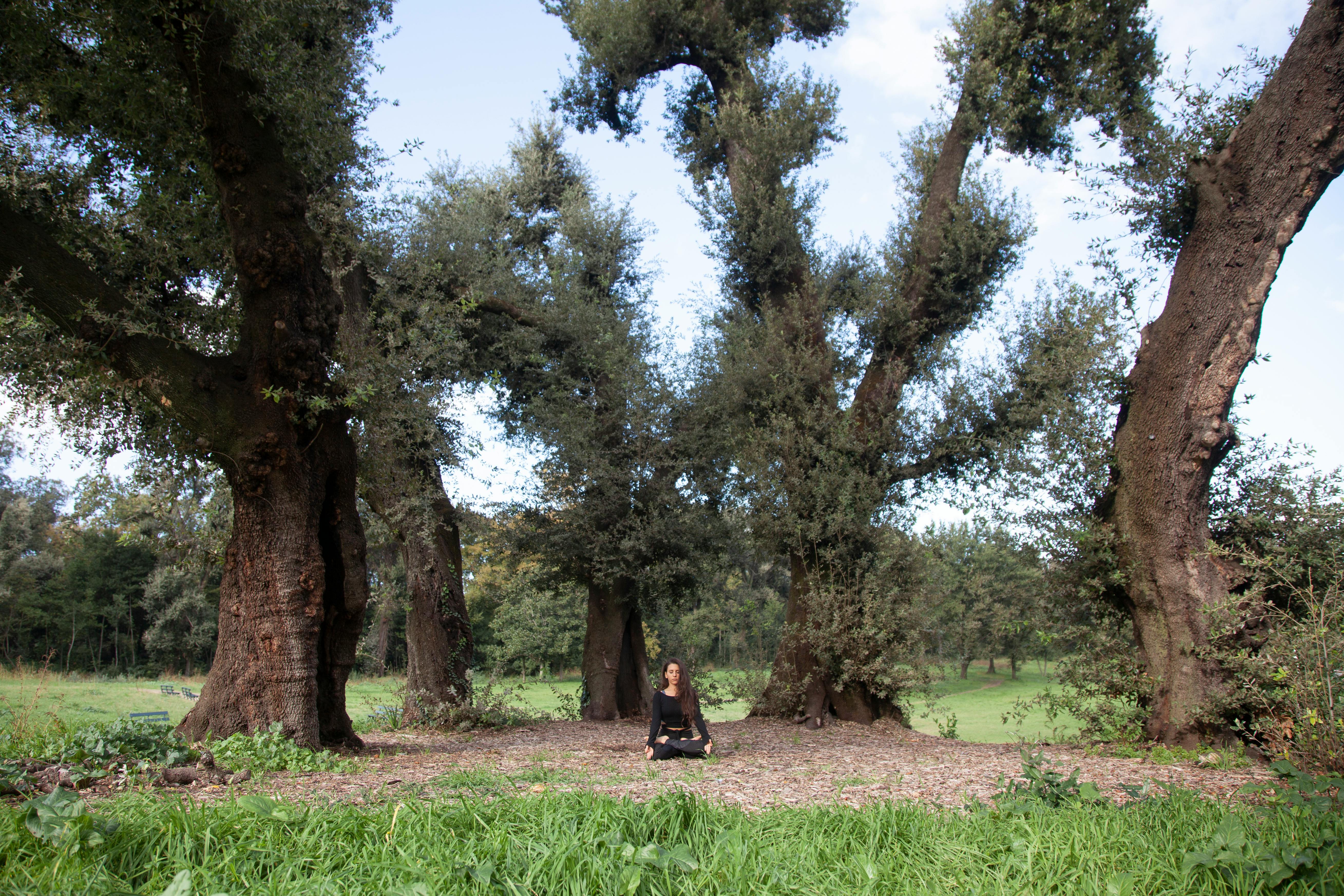 A woman practices meditation among towering trees in a peaceful outdoor setting.