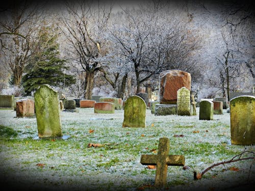 Free stock photo of canada, cemetery, cross