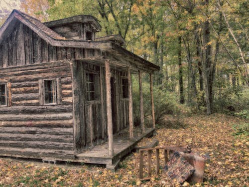 Free stock photo of abandoned, autumn, canada