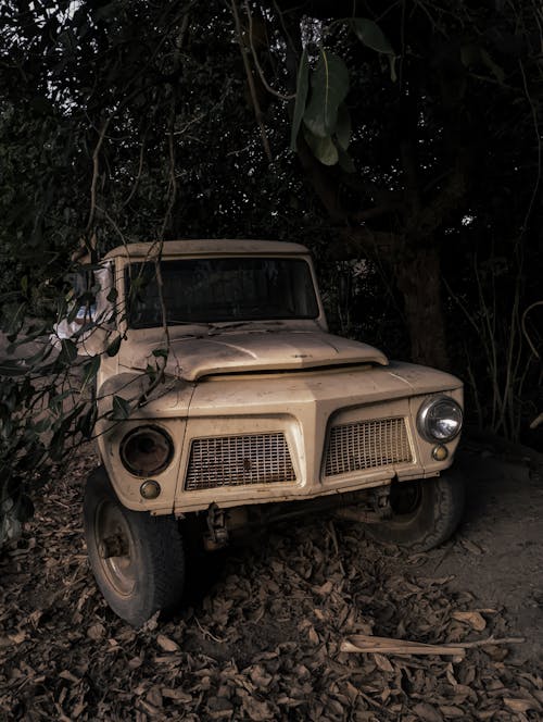 Abandoned Truck in Forest