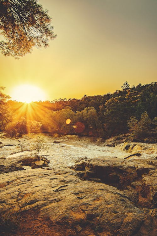 Ağaçların Arasından Sunray