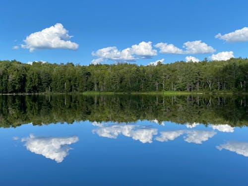 A Lake Near the Green Trees Under the Blue Sky and White Clouds