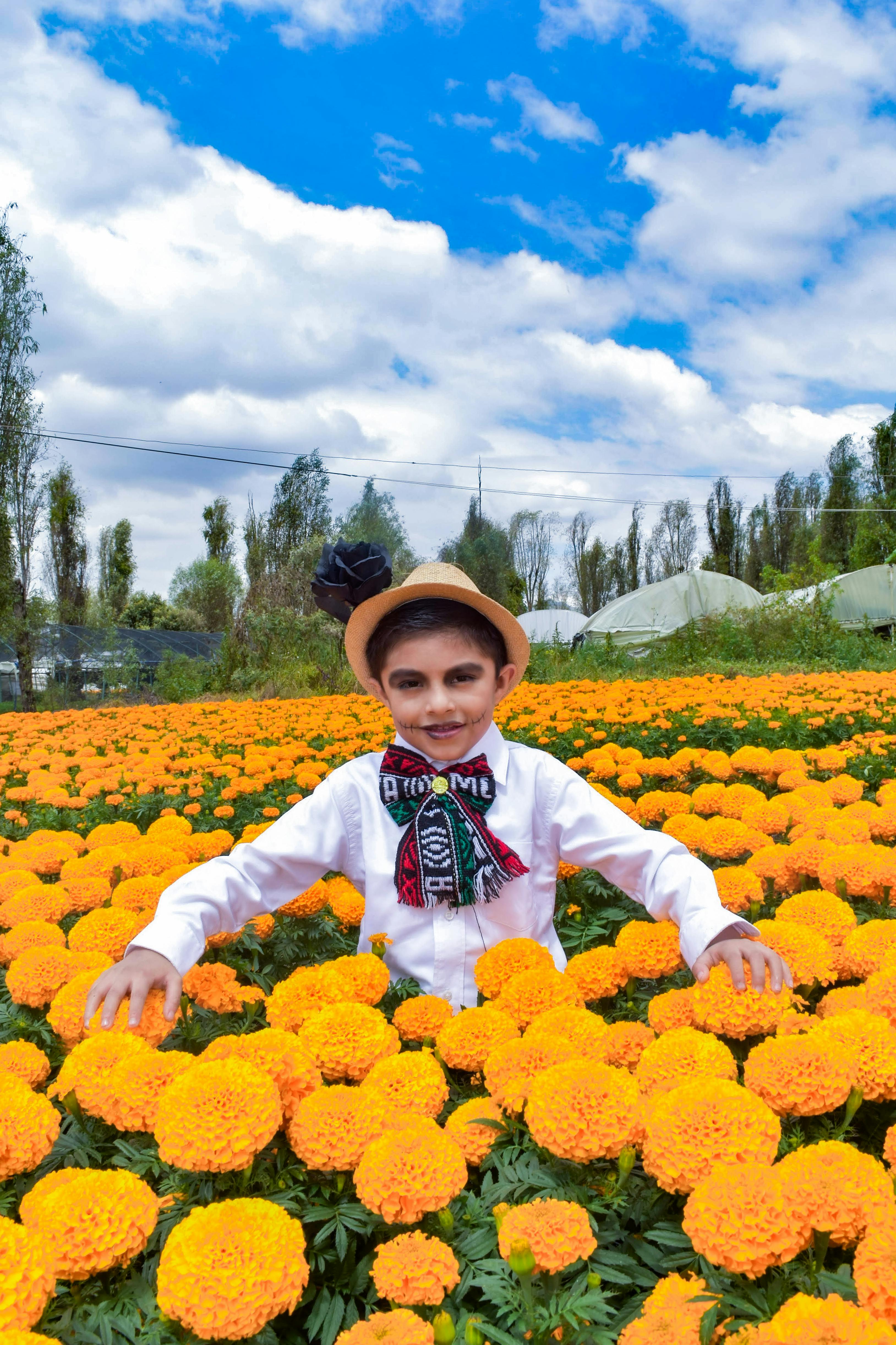 people woman field summer