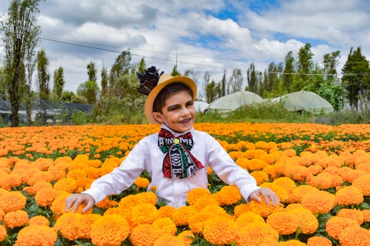 A smiling child in traditional Dia de Muertos attire stands in a vibrant marigold field in CDMX, Mexico.