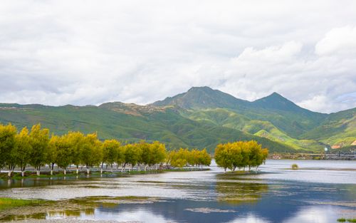Free Picturesque lake surrounded by lush trees and majestic mountains under white clouds. Stock Photo