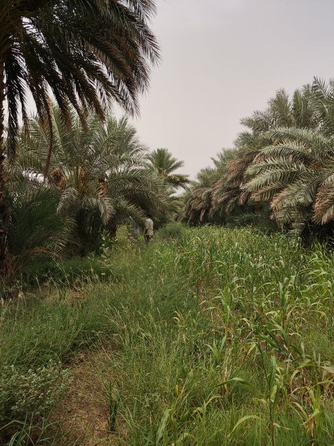 برامج التنمية الترابية المندمجة