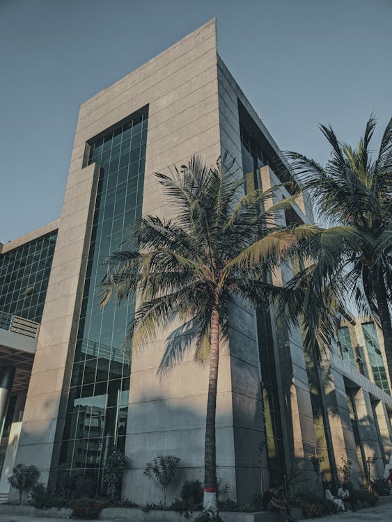 Office Building among Palm Trees