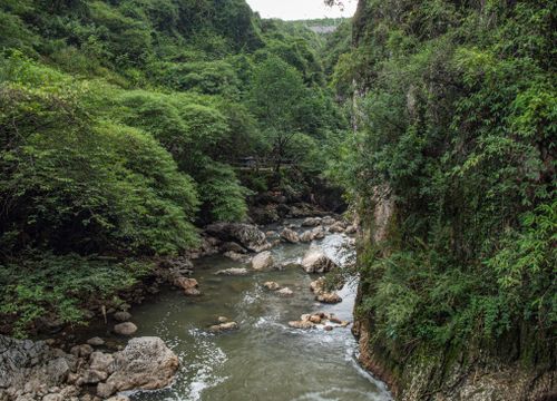 Free A tranquil creek meandering through a lush green forest with rocky banks, capturing nature's serene beauty. Stock Photo