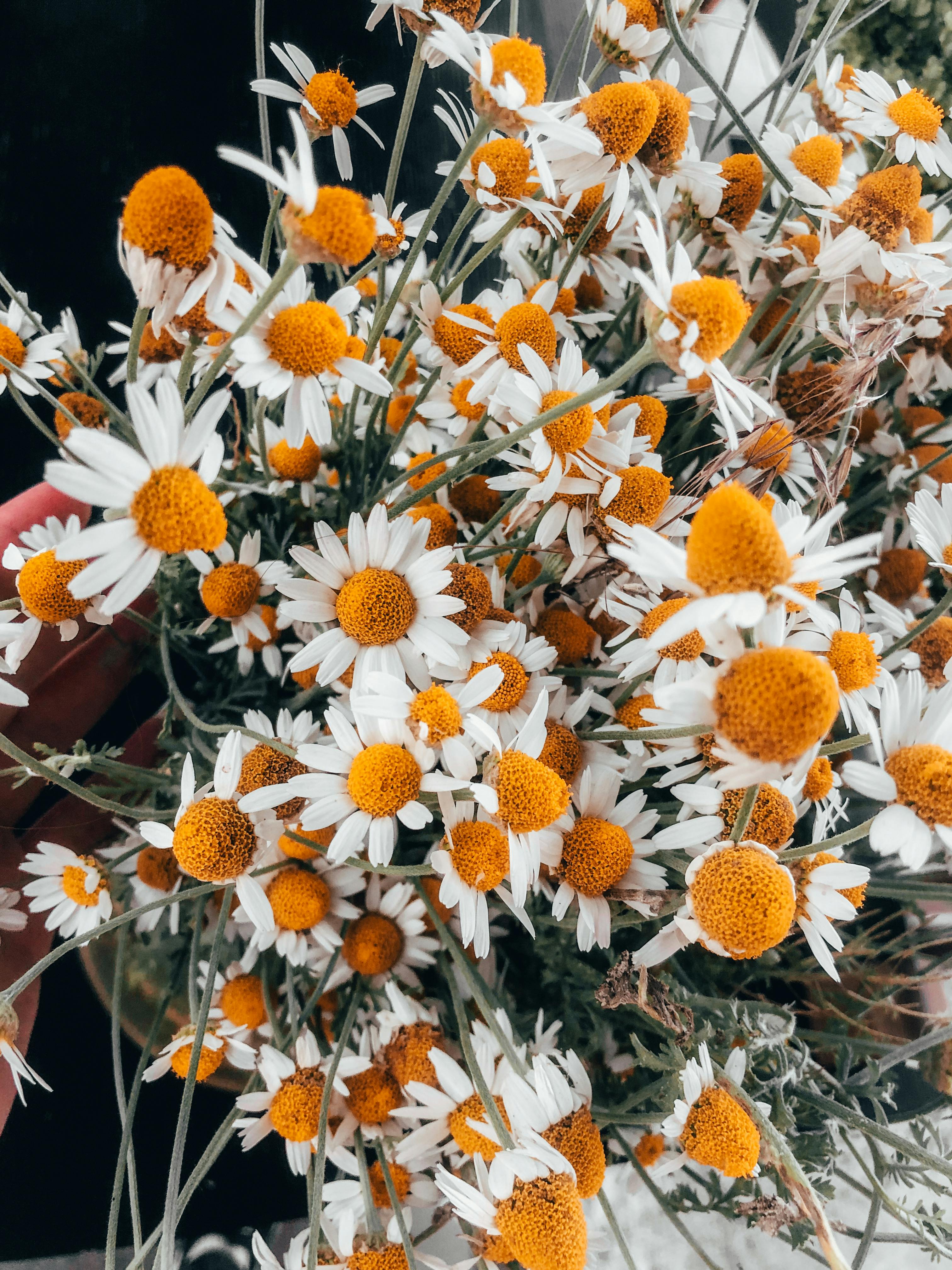 Close-up of a laptop motherboard with processor and circuits representing on-device AI hardware