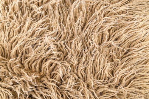 Foto Close Up Tekstur Berbulu Coklat
