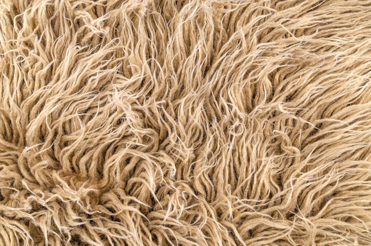 Close-Up Photo Of Brown Furry Texture