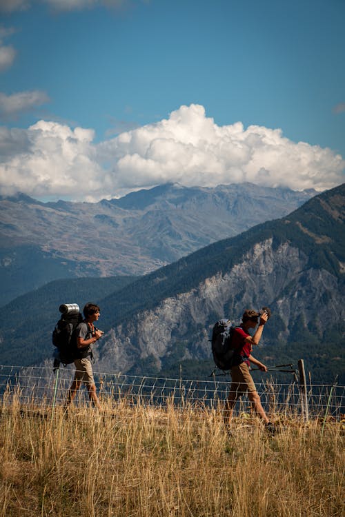 Foto stok gratis berjalan, gunung, hiking