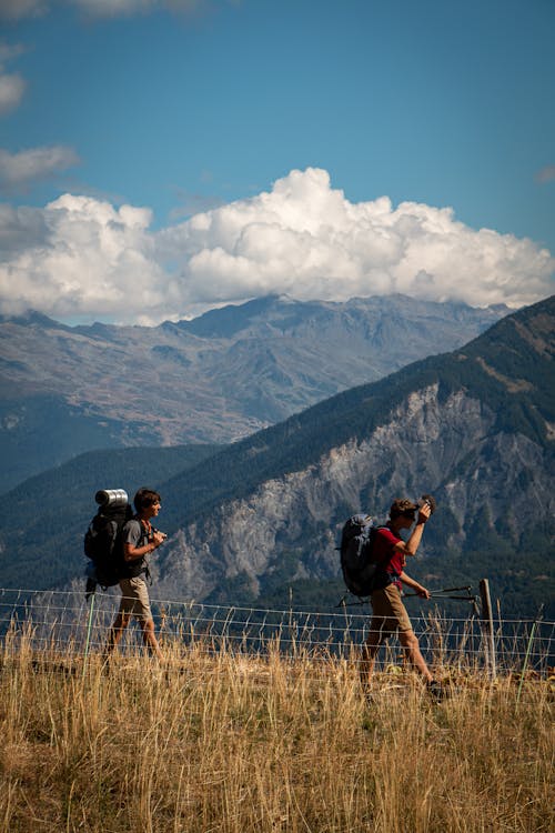 Fotos de stock gratuitas de aventura, caminando, caminantes