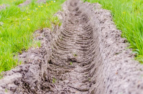 Tracks of tractor wheels on a muddy road in the forest next to the Danube river in the spring part of the year.