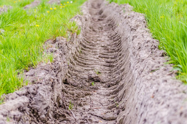 Tracks Of Tractor Wheels On A Muddy Road In The Forest Next To The Danube River In The Spring Part Of The Year.