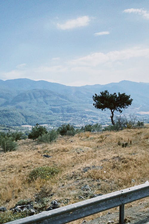 Darmowe zdjęcie z galerii z dolina, drzewo, jeden