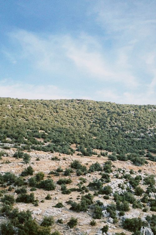 Free Scenic landscape of a rocky hill with lush green bushes under a clear blue sky. Stock Photo