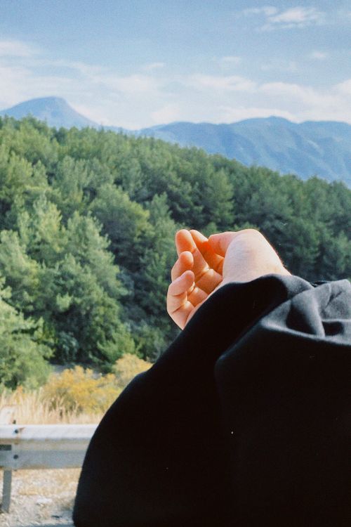 Free A hand reaching out against a scenic view of green mountains and lush pine trees under a clear blue sky. Stock Photo