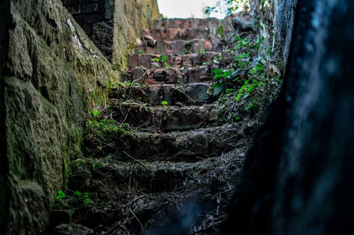 Empty Stone Stairs Beside Grasses