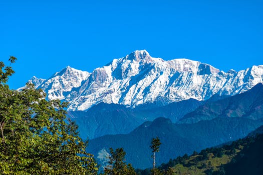 Breathtaking view of a snowcapped mountain range with clear blue sky and lush greenery in the foreground.