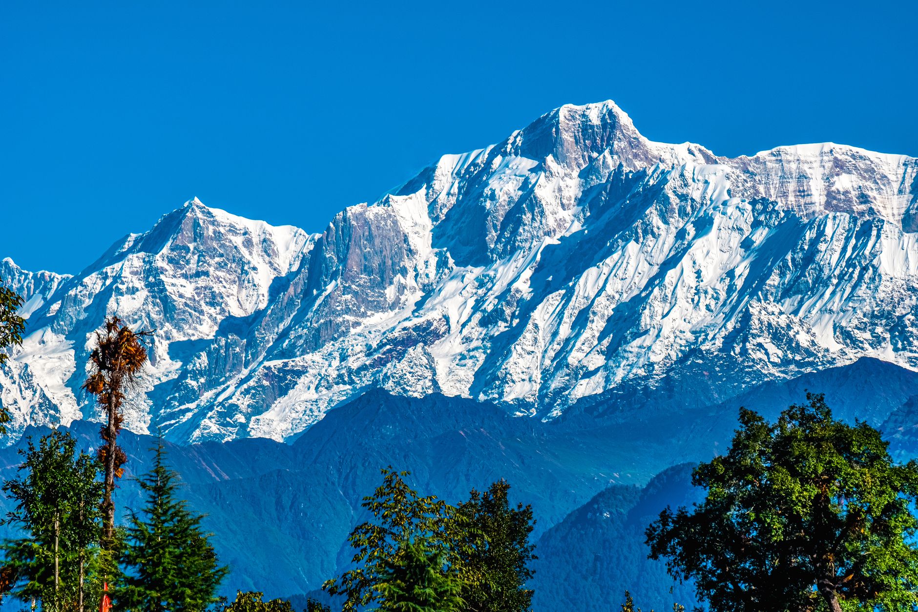 Airport transfers in Chopta Airport transfers in Chopta