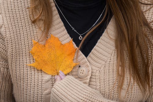 Fotobanka s bezplatnými fotkami na tému držanie, javorový list, jeseň