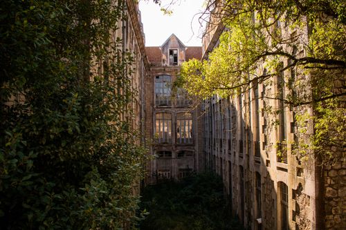 Free Explore the haunting beauty of an abandoned building in Caldas da Rainha, Portugal. Stock Photo