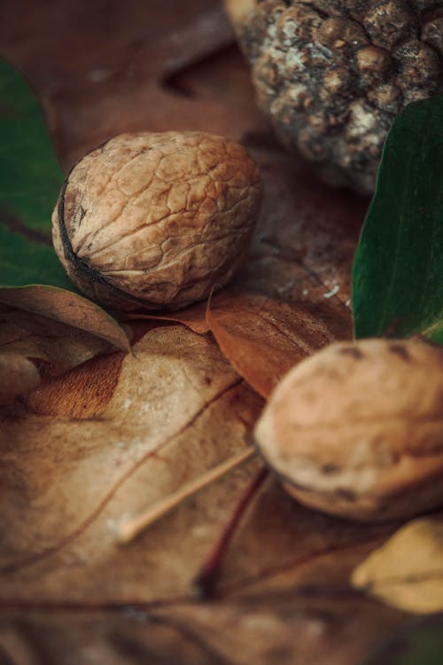 Foto d'estoc gratuïta de femella, fotografia d'aliments, menjar