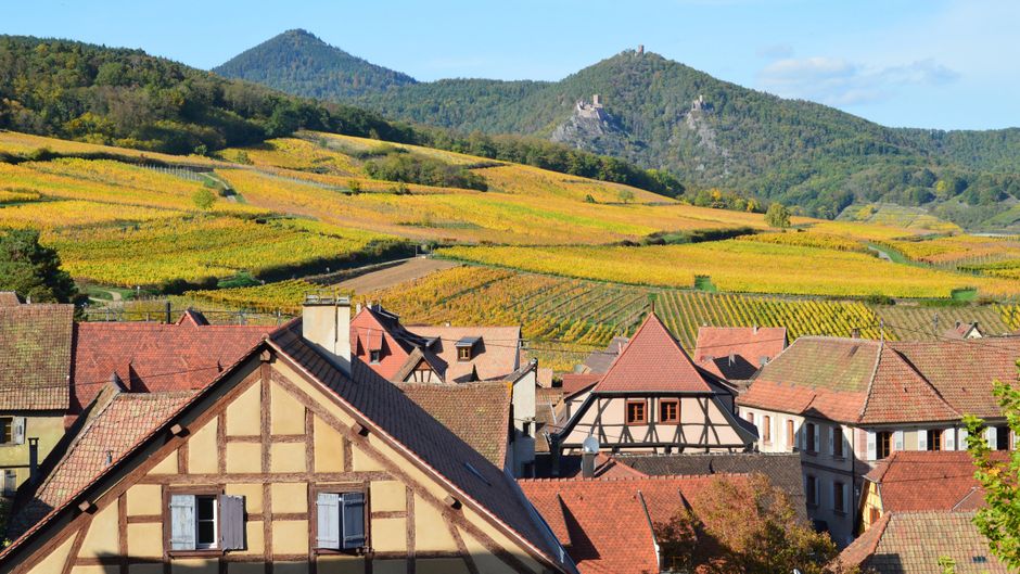 Scenic view of European countryside with vineyards and traditional houses in autumn.
