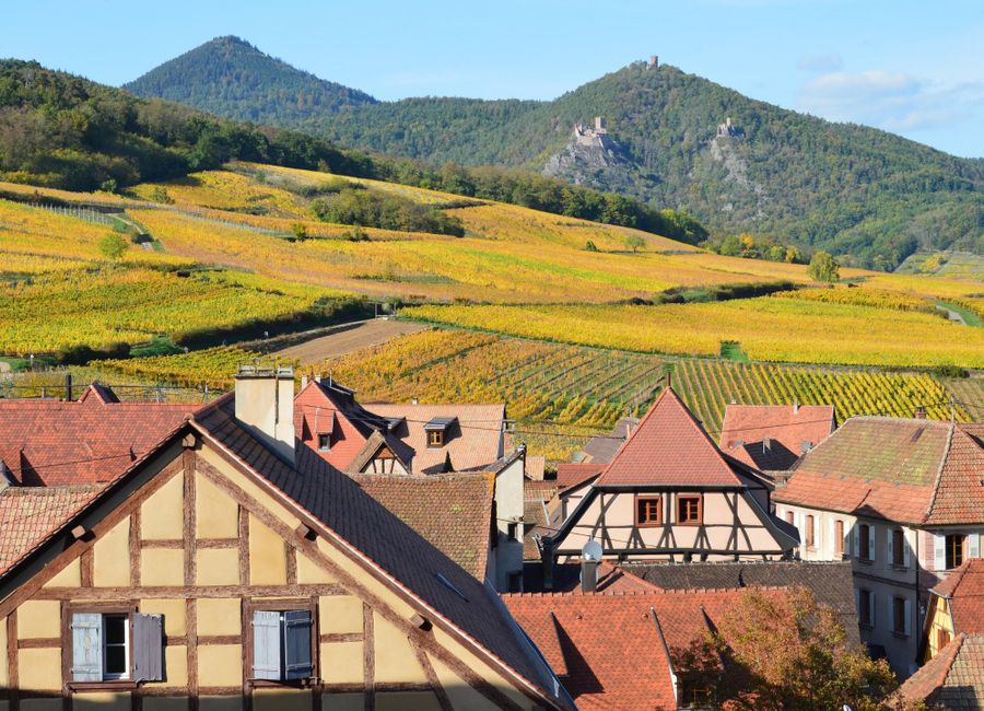 Scenic view of European countryside with vineyards and traditional houses in autumn.