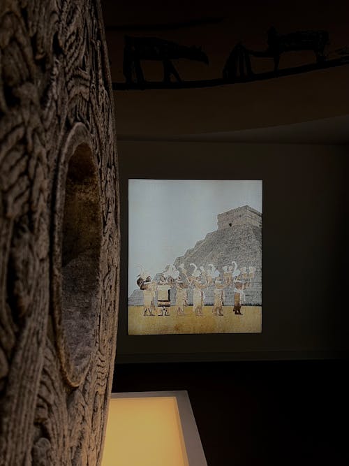 Immagine gratuita di museo, qatar