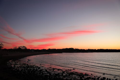 Immagine gratuita di acqua, alba, bagnasciuga