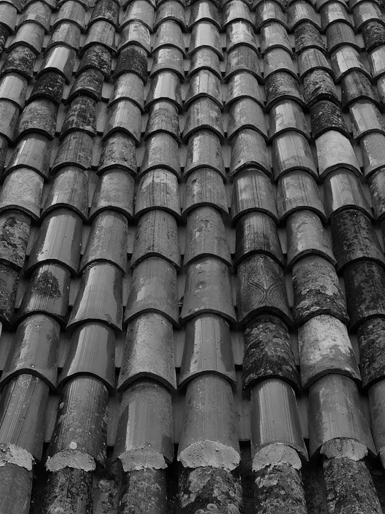 Grayscale Photo Of Roof Tiles 