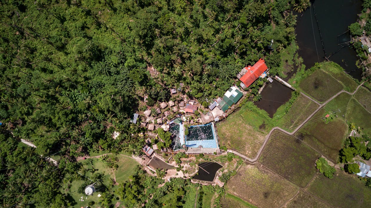 Mansion with Swimming Pool in Woods