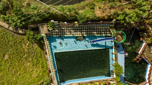 Swimming Pool in Yard