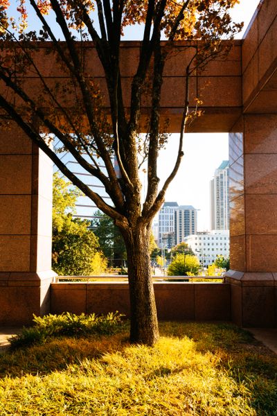 Inman Park, Atlanta