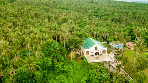 Fotos de stock gratuitas de bosque, casa, casas