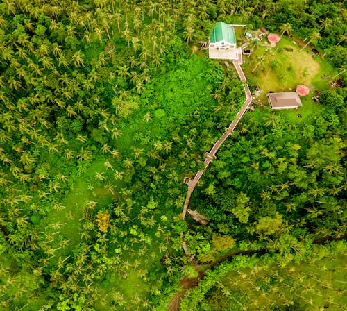 Fotos de stock gratuitas de árboles verdes, casa, foto con dron