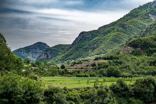 Serene mountain valley with vibrant greenery and cloudy sky backdrop.