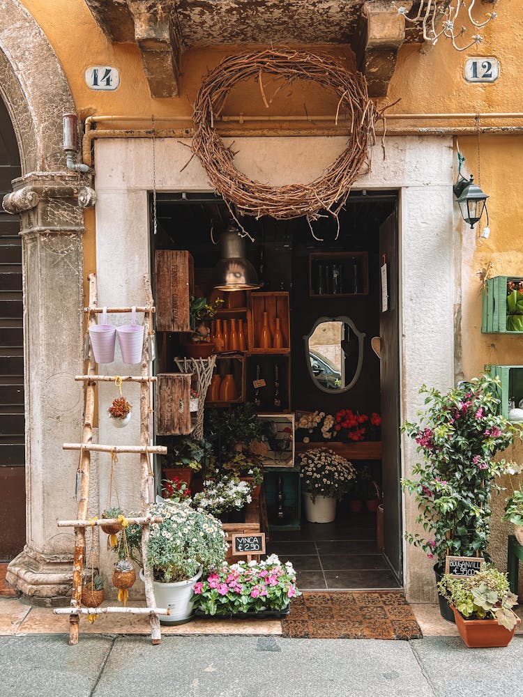 Concrete Wall Doorway With Plants And Flowers