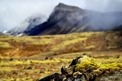 Free Explore a serene Icelandic landscape with lush green moss, distant mountains, and misty ambiance. Stock Photo