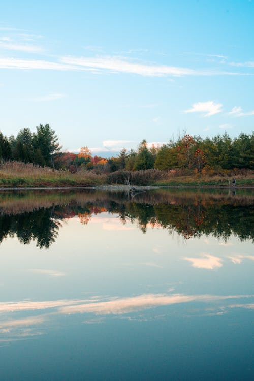 A Lake Near the Trees Under the Blue Sky and White Clouds