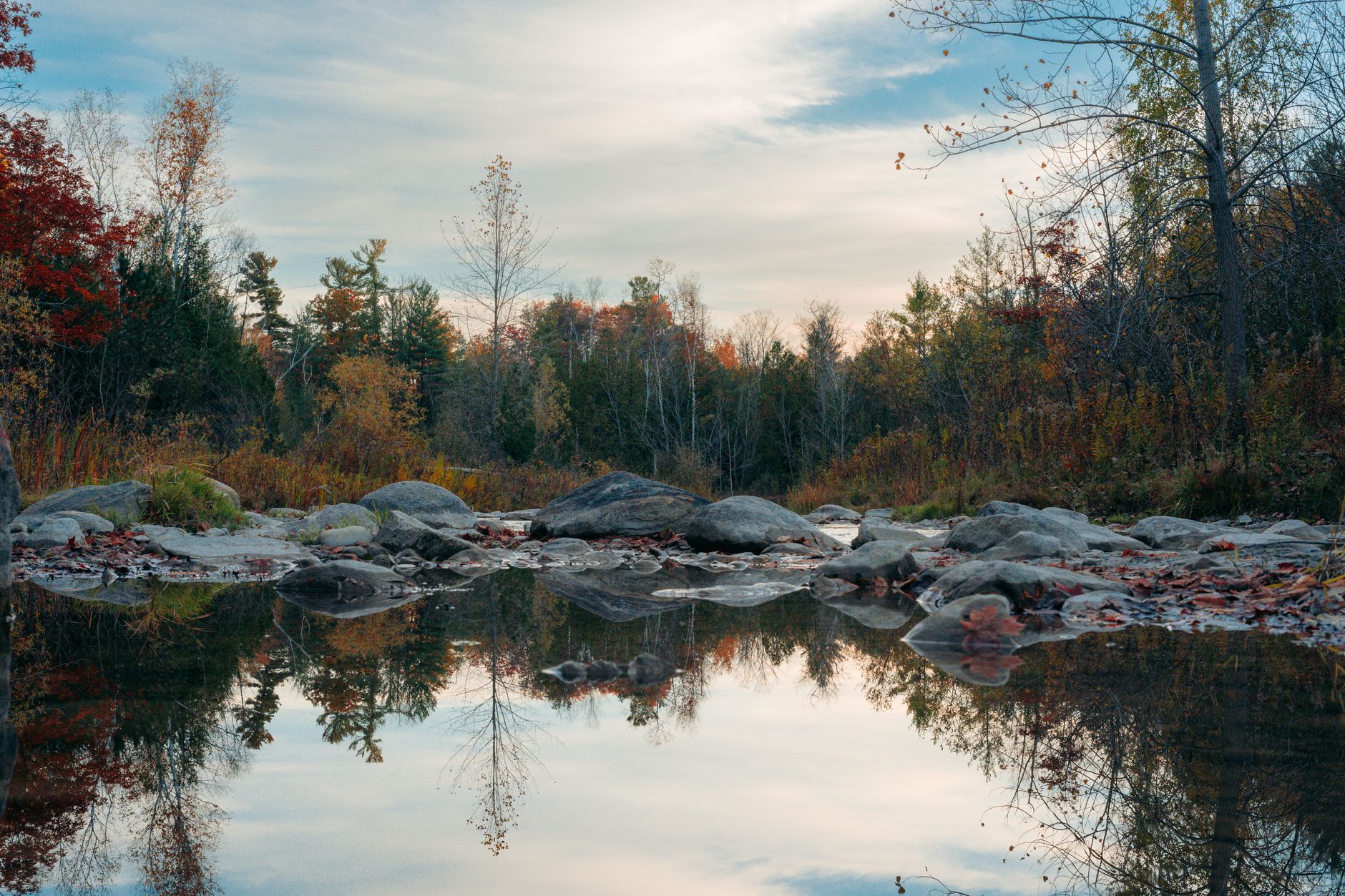 Rifle River Fishing: Sterling Gauge to Saginaw Bay