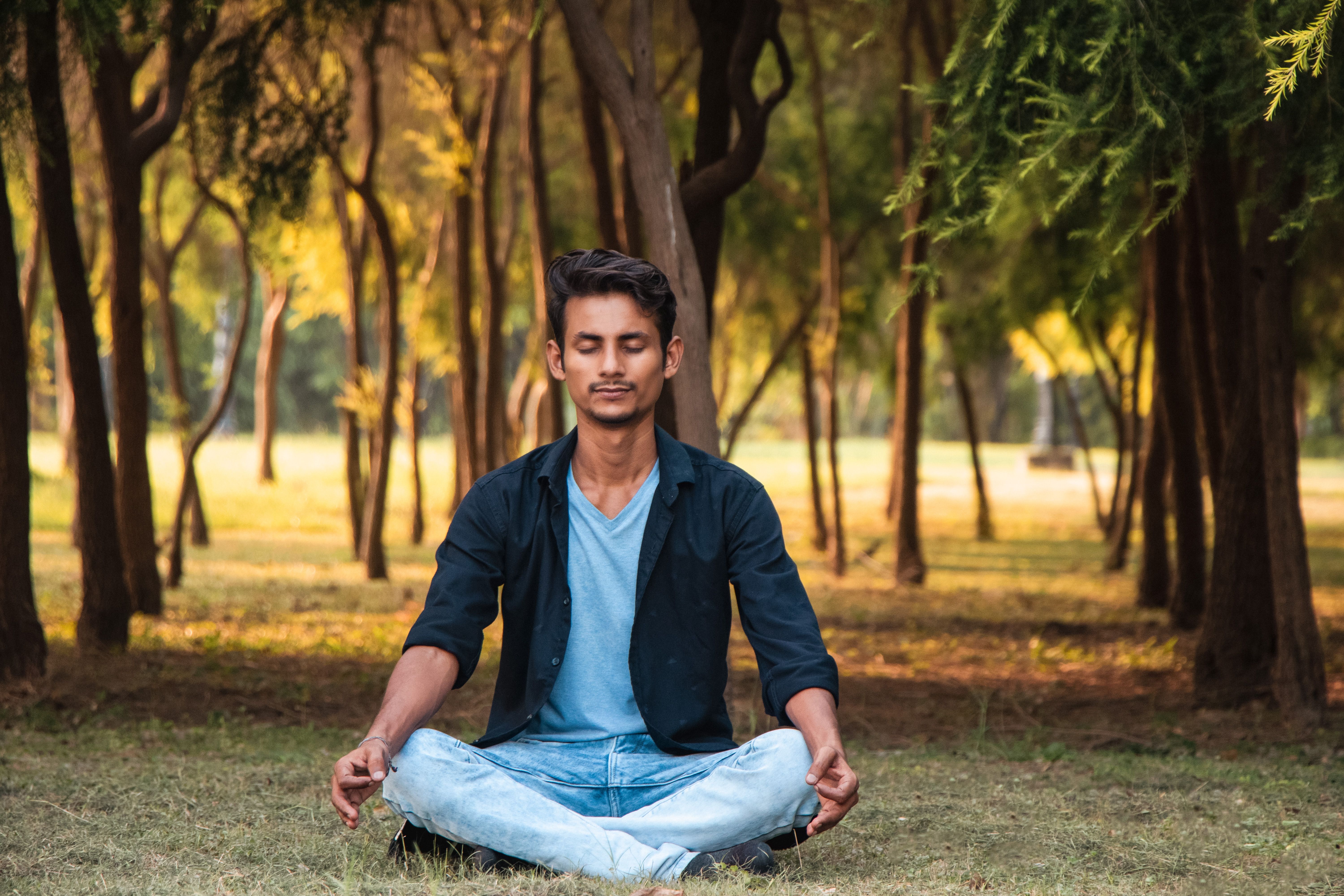 Streaming & Live Meditation Classes
