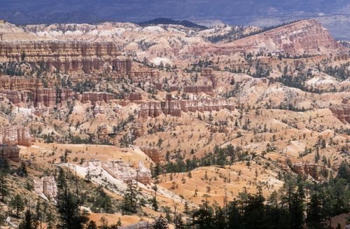 Free A breathtaking aerial view of Bryce Canyon's distinct hoodoos under a bright blue sky. Perfect for nature enthusiasts. Stock Photo