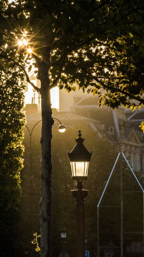 Free Sunrise casts a warm glow over Paris, highlighting a vintage streetlamp and the Eiffel Tower silhouette. Stock Photo