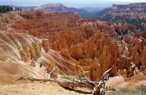 Δωρεάν στοκ φωτογραφιών με bryce canyon, bryce canyon εθνικό πάρκο, αεροφωτογράφιση Φωτογραφία από στοκ φωτογραφιών