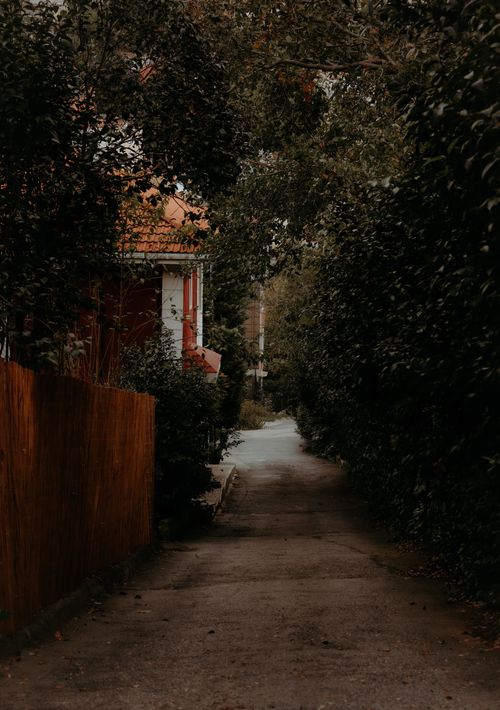 Free A tranquil narrow alley with a wooden fence, leafy trees, and a distant view of a house. Perfect for calm and serene settings. Stock Photo